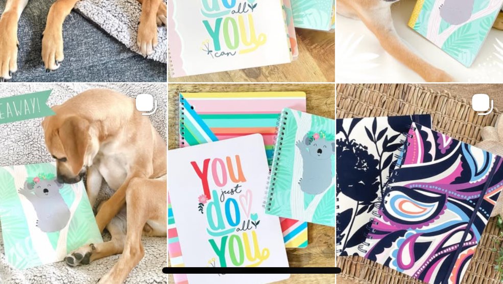 Dog-themed stationery posts on Carolina Pad Instagram grid